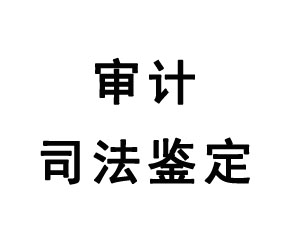 審計(jì)司法鑒定